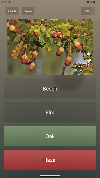 Endless Quiz Pro - screenshot 10