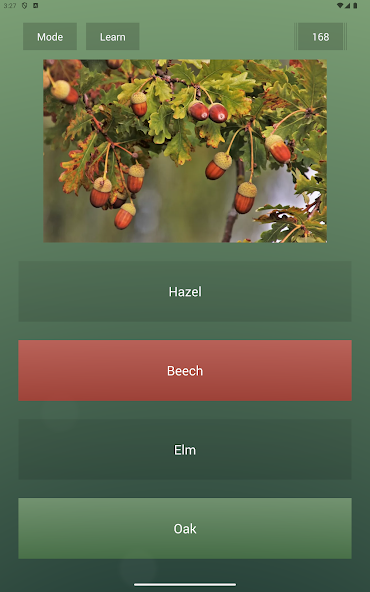 Endless Quiz Pro - screenshot 18
