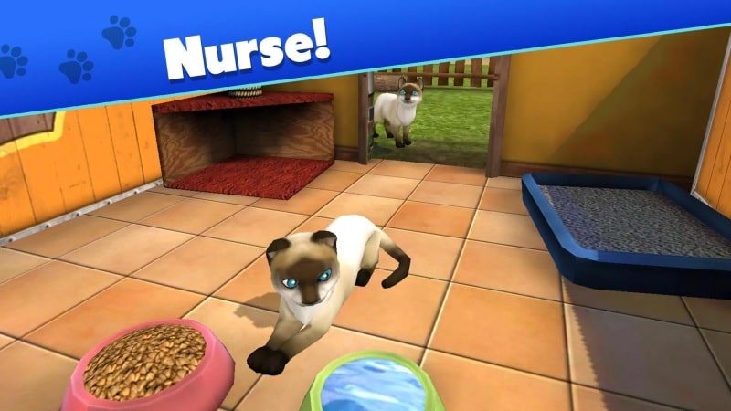 Pet World - My Animal Shelter - screenshot 2
