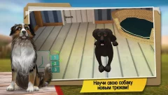 DogHotel - Play with Dogs - screenshot 3