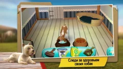 DogHotel - Play with Dogs - screenshot 4