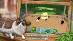 Pet Hotel - boarding My animal - screenshot 2