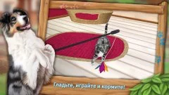 Pet Hotel - boarding My animal - screenshot 3