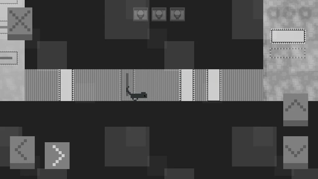 Planet Squirrel - screenshot 7