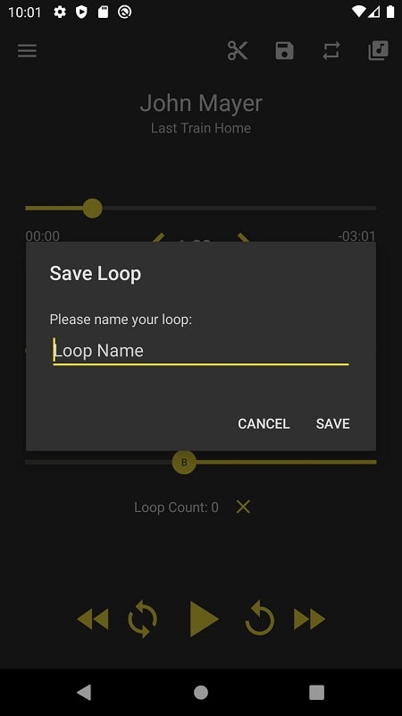 Loop Player - screenshot 3