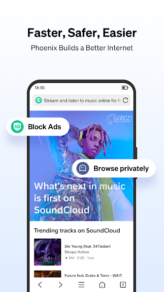 Phoenix Browser - screenshot 2