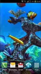 Tropical Ocean 3D LWP - screenshot 1