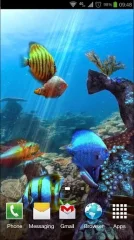 Tropical Ocean 3D LWP - screenshot 3