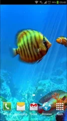 Tropical Ocean 3D LWP - screenshot 4