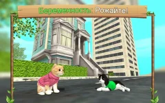 Cat Sim Online: Play With Cats - screenshot 2