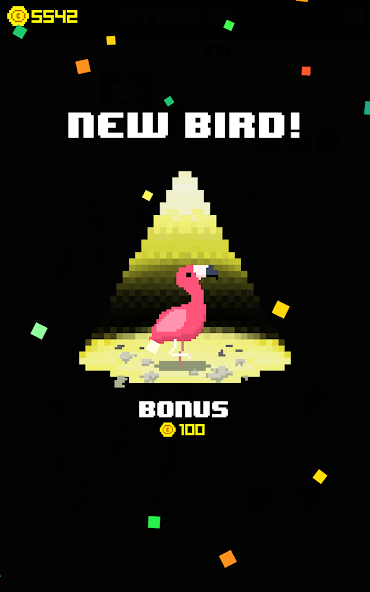 Find Bird - match puzzle - screenshot 12