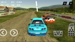 Super Rally 3D - screenshot 1
