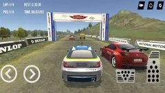 Super Rally 3D - screenshot 2