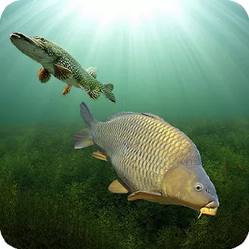 3DCARP MOD APK icon