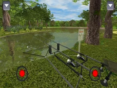 3DCARP - screenshot 1