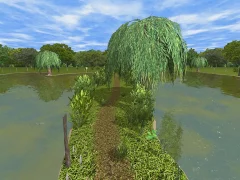 3DCARP - screenshot 4