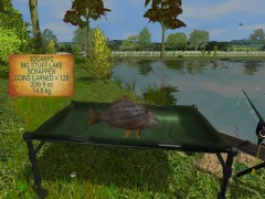 3DCARP2 - screenshot 4
