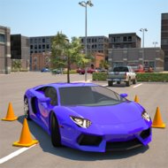 Driving School 3D Parking - app icon