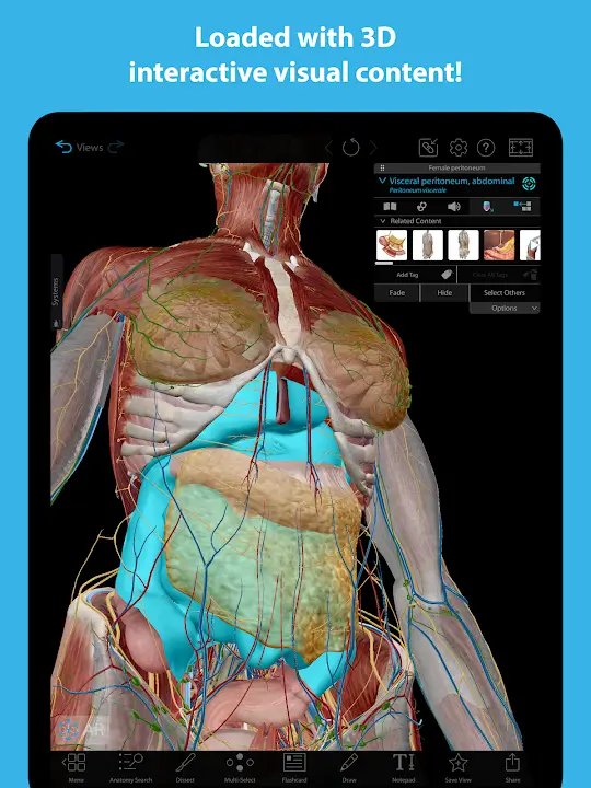 Human Anatomy Atlas 2026 - screenshot 2