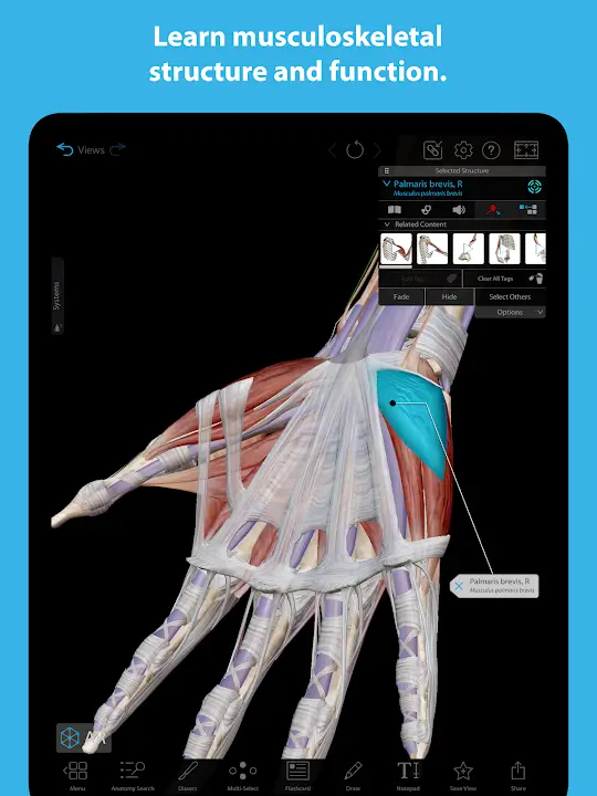 Human Anatomy Atlas 2026 - screenshot 3