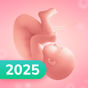 Pregnancy - app icon