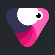 Velomingo - app icon