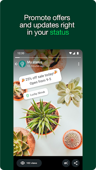 WhatsApp Business - screenshot 8