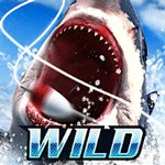 Wild Fishing Simulator MOD APK icon