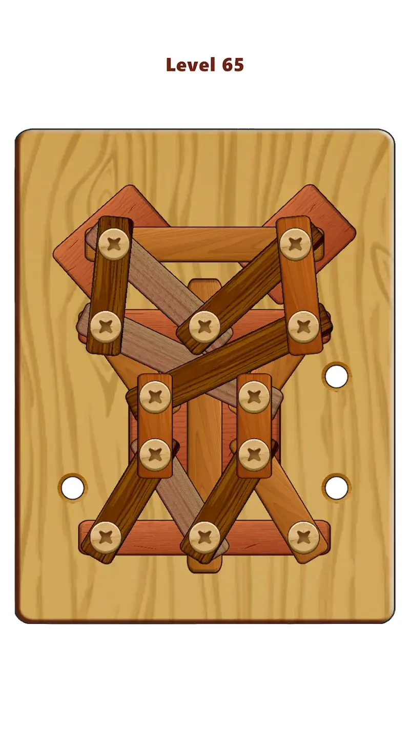 Wood Nuts & Bolts Puzzle - screenshot 6