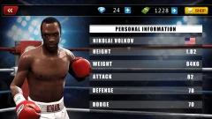 Real Fist - screenshot 4