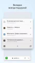 Yandex.Browser Lite - screenshot 3