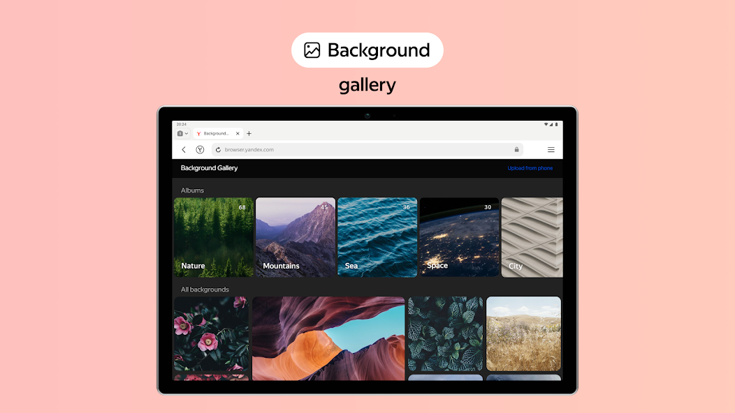 Yandex.Browser - screenshot 19