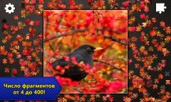 Jigsaw Puzzles Pro - screenshot 4