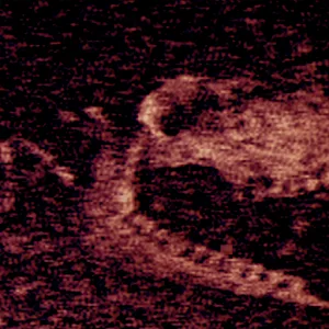 Melody War - screenshot 11