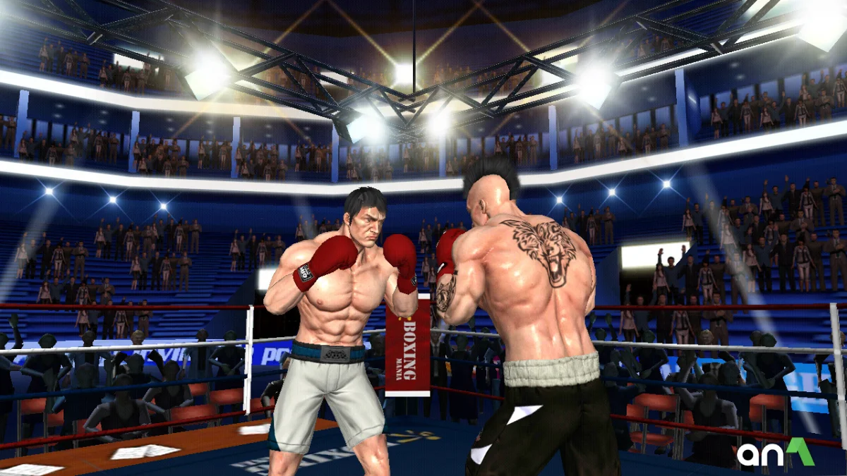 Punch Boxing 3D - screenshot 1