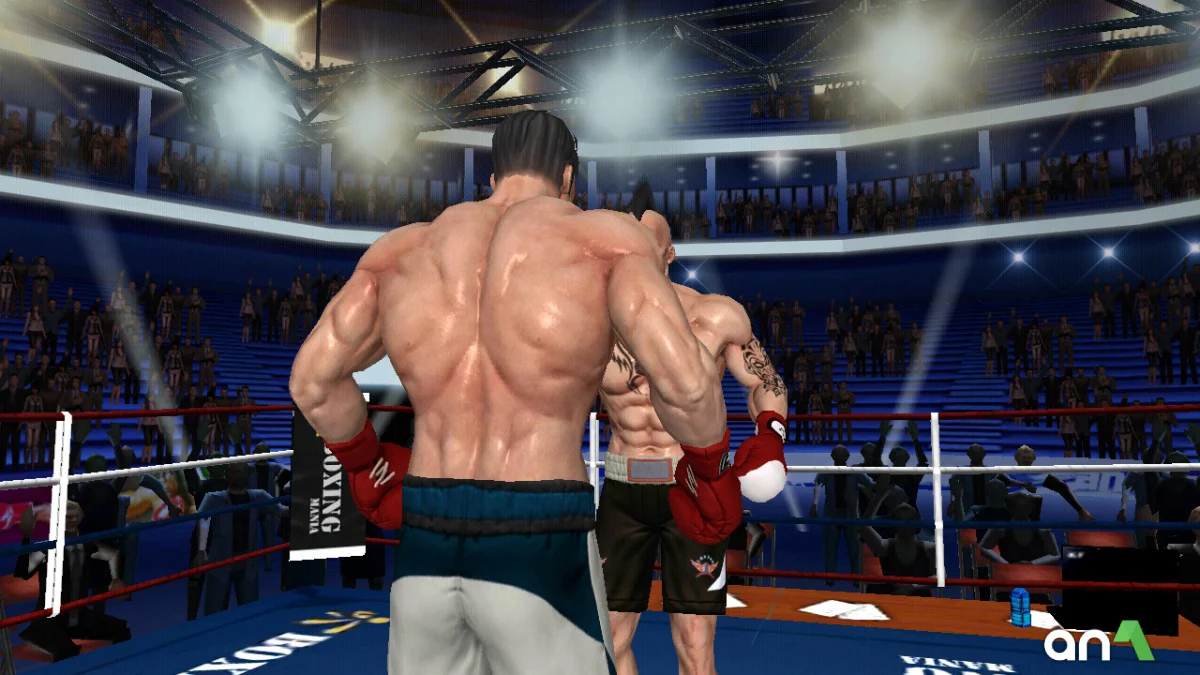 Punch Boxing 3D - screenshot 3