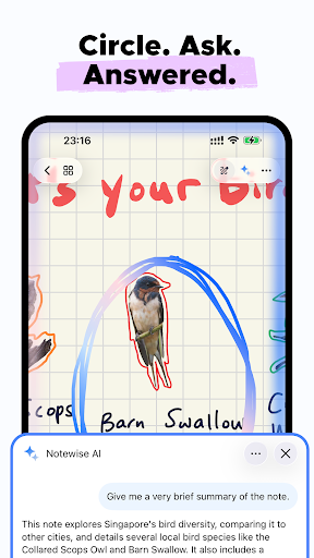 Notewise - screenshot 5