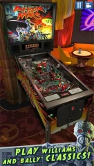 Williams Pinball - screenshot 3