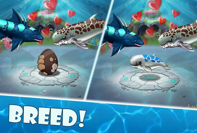 Shark World APK - screenshot 3