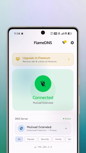 FlameDNS - screenshot 1