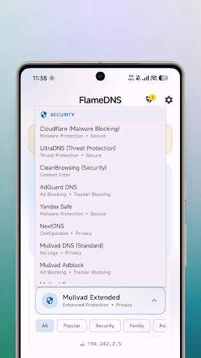 FlameDNS - screenshot 2