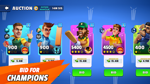 Hitwicket - screenshot 5