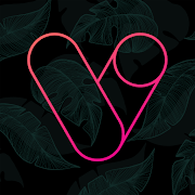 Vera Outline Icon Pack - app icon