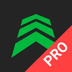 Blitzer.de PRO - app icon