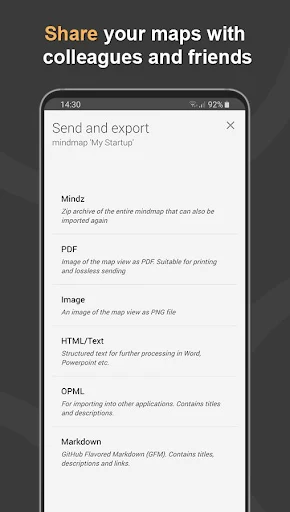 Mindz Pro - screenshot 5