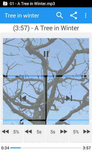 Music Folder Player Full - screenshot 6