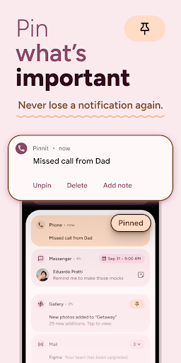 Pinnit - screenshot 5