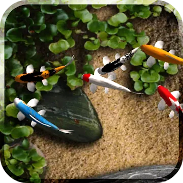 Koi Live Wallpaper - app icon
