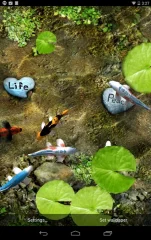 Koi Live Wallpaper - screenshot 1