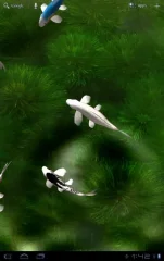 Koi Live Wallpaper - screenshot 3